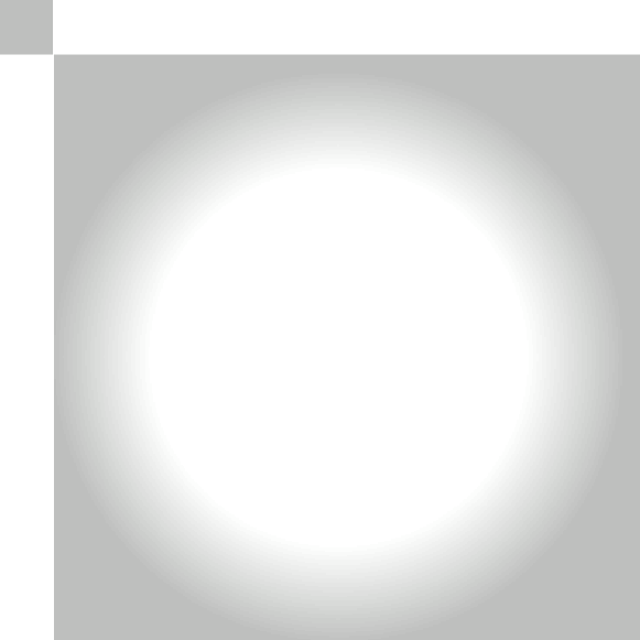 Light Intensity Scale 4